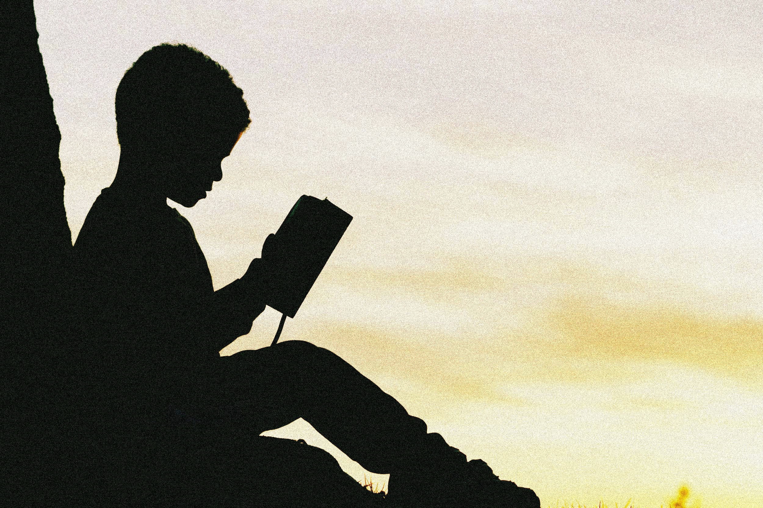 Silhouette eines an einem Baum sitzenden Jungen, der ein Buch liest.